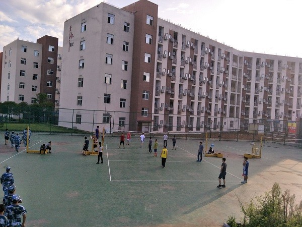 5排球场1.jpg